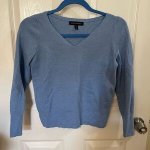 Banana Republic blue v-neck sweater.